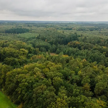 Wald Und 33b Apartment Dargun